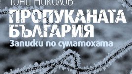 Кардиограма на инфаркта, който сполетя България през 2013
