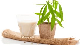 Няма по-добри напитки преди сън от тези! 