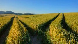 Притча за пътя