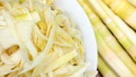 Бамбуковите кълнове – невероятно полезни!