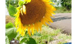 Още малко лято, моля!