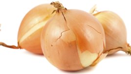 Лучените люспи помагат при бронхит и косопад