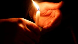 Черешова задушница 