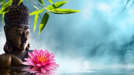 Какво символизира лотосът според фъншуй и как да го използвате 