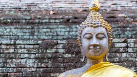 Вдъхновение на седмицата