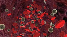 Любопитни факти за кръвта