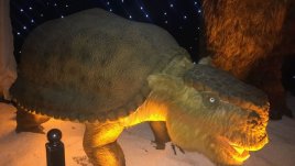 „Ледникова епоха“ завладява София