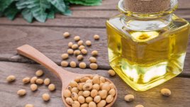 5 здравословни причини да употребяваме соево масло 