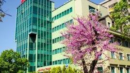 Модерен лапароскопски метод коригира пропадането на тазовите органи при жени