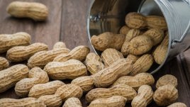 Знаете ли, че... фъстъците всъщност не са ядки?