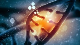 Тайната на доброто здраве се крие в генетиката