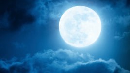 Лунната диета за август 2014