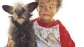 "Приятелството няма порода - намери приятел - дари на дете"