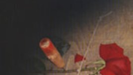 Философия на будоара