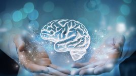 Навици, които вредят на мозъка