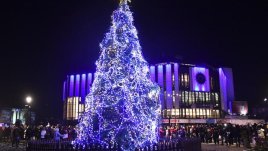 Палят светлините на елхата на София