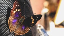 Мисъл на деня за... нищо не е постоянно