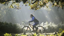 4 лесноизпълними идеи за по-добро здраве