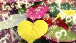 Нумерологична прогноза за 15 октомври