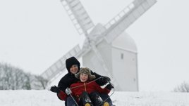 Трябва ли майката да е приятел с детето?