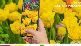 Участвайте в пролетната игра на ХИТ МАКС и Az-jenata.bg