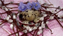 Върбовите клонки – свежа декорация за празнична трапеза