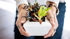 Мисъл на деня за... смелостта да действаме