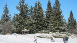 Грипна ваканция – в мол-а или на Витоша