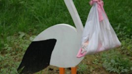 Бременност седмица 2: Вече сме на път!