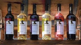 Български вина се наредиха сред най-добрите в света