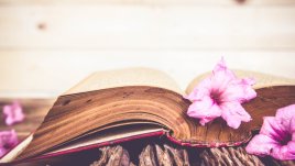 Еврейска мъдрост на деня