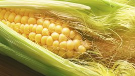 Отвара от царевица помага при цистит