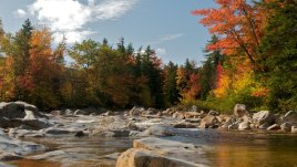 Планирам следващото лято
