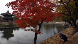 Любовни есенни рими – 22-ра част