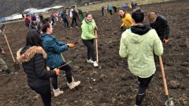 Студенти на ВУЗФ засадиха дръвчета в Новата гора на София