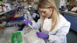 Безплатни изследвания за хепатит в Кърджали