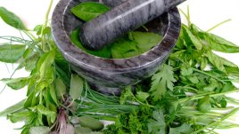 Билки и подправки за първа помощ при болки и възпалителни процеси