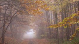 Есента в мен