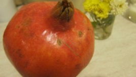 Нарът защитава от настинка