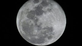 Лунна диета – ноември 2011