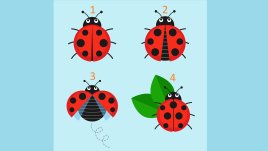 Тест: 4 калинки разкриват какво ви носи пролетта