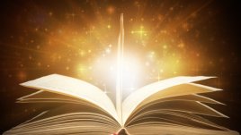 Мисъл на деня от Джон Стайнбек