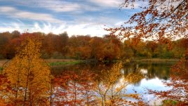 Есенно вдъхновение