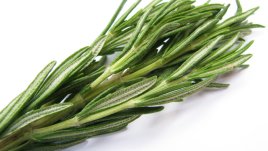 Билки за по-добра памет и концентрация