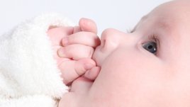 Ако искате Бебе 2015, действайте сега!