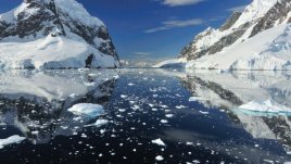 Омега-3 мастни киселини: изгубеното хранително звено