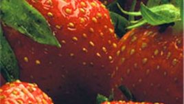 Природната Виагра