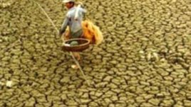 Ден на околната среда