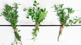 Билки, които контролират хормона на стреса