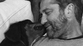 Кученце от България плени сърцето на Джерард Бътлър